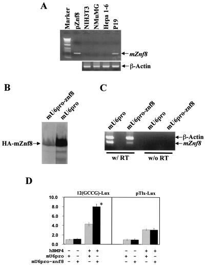 FIG. 7.