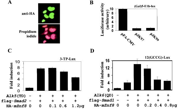 FIG. 6.