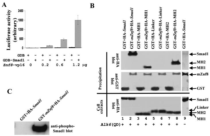 FIG. 4.