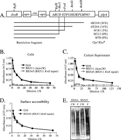 FIG. 6.