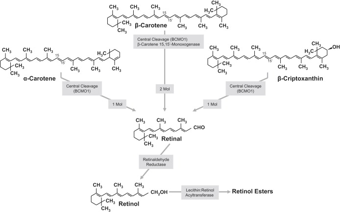 Figure 3