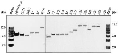 FIG. 3.