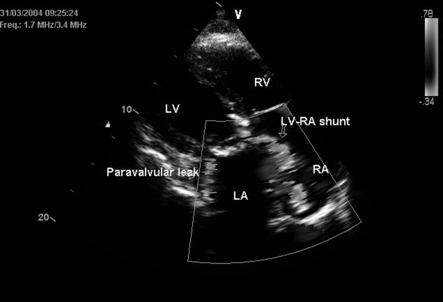 Figure 1)