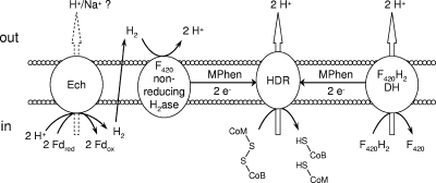 FIG. 1.