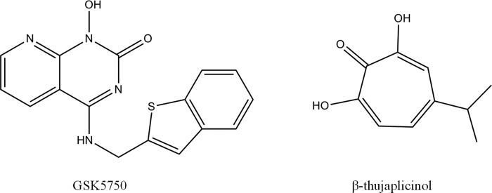 FIGURE 1.