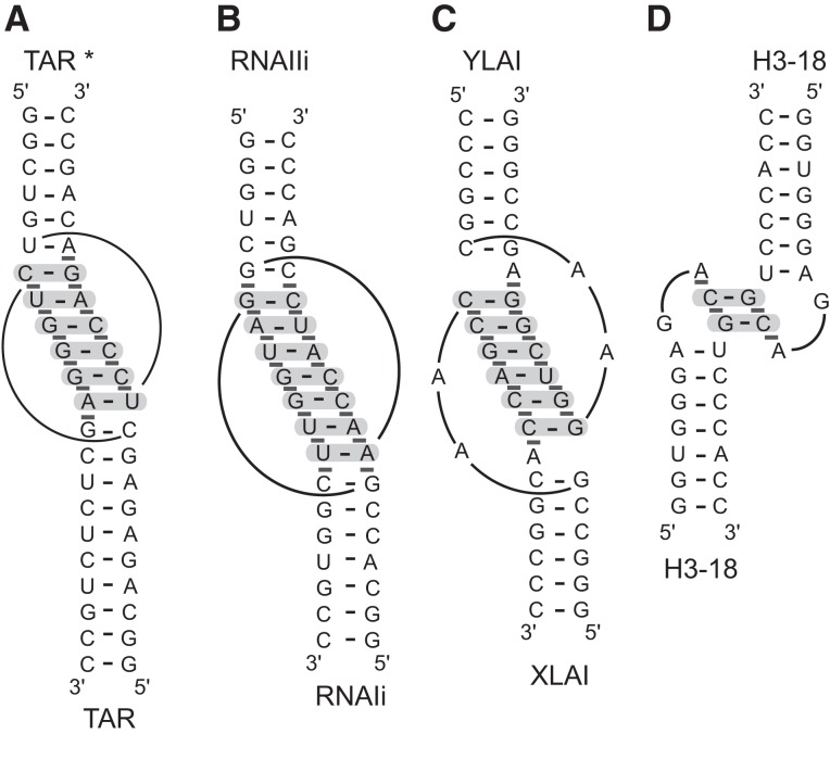 FIGURE 5.