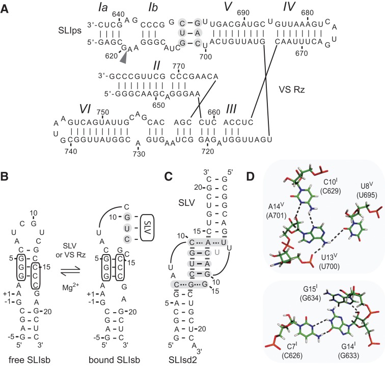 FIGURE 1.