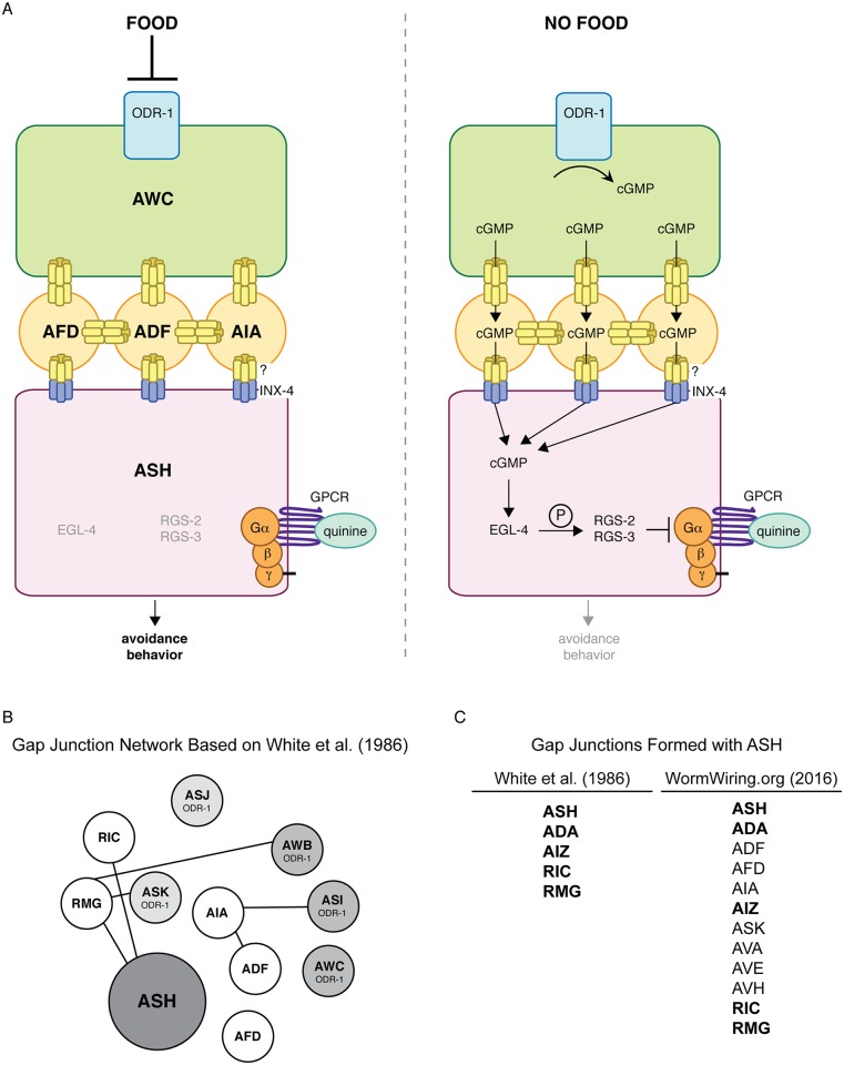 Fig 8