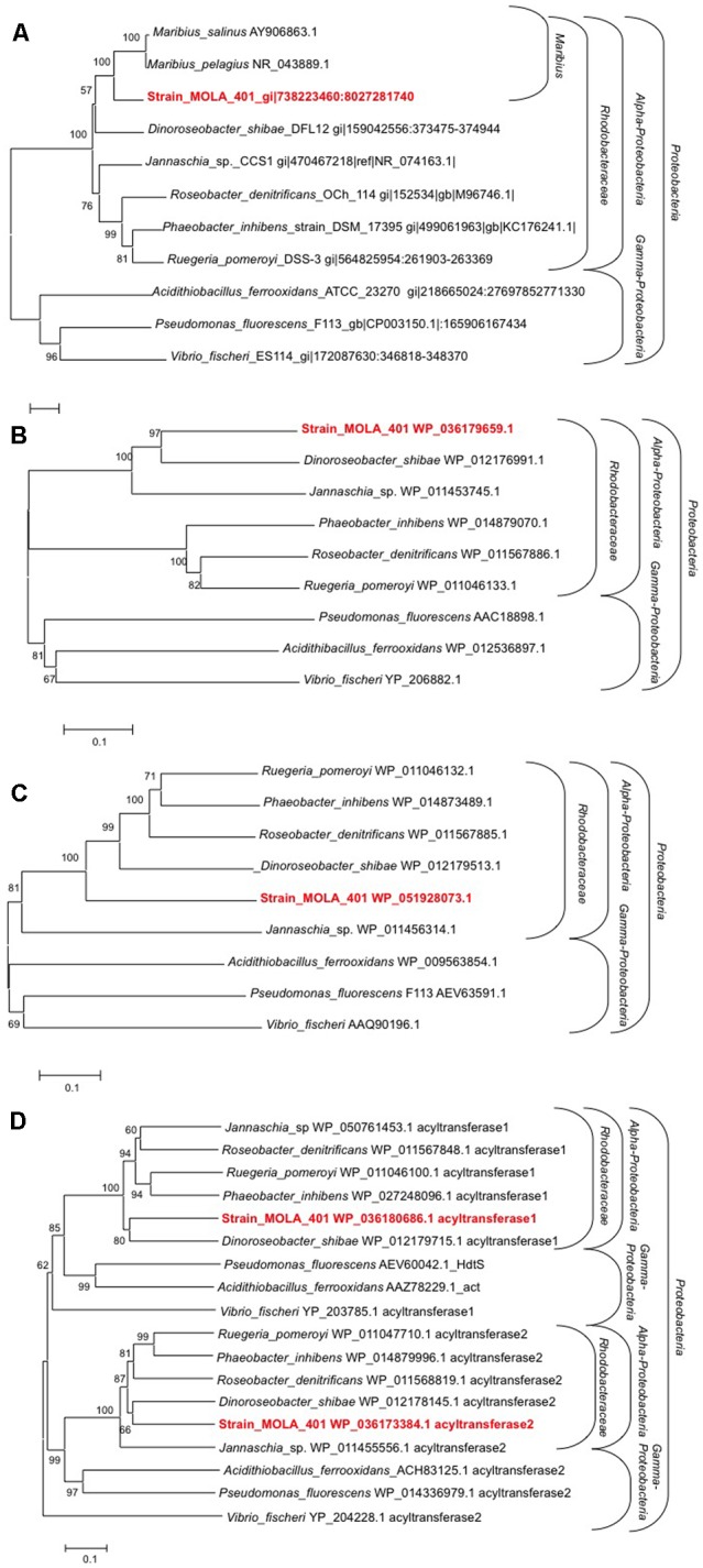 FIGURE 3