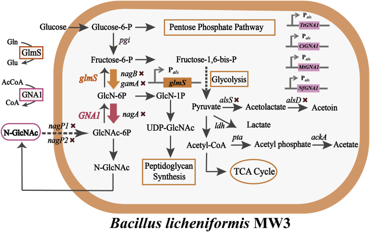 Figure 6