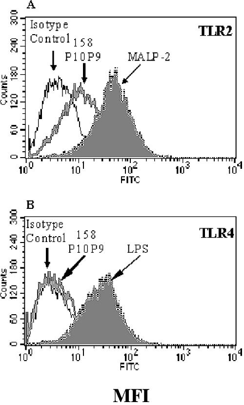 FIG. 7.