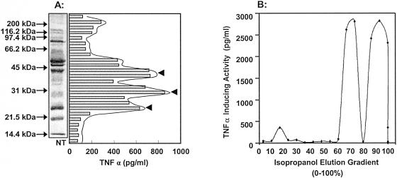 FIG. 10.