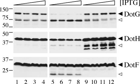 FIG. 9.