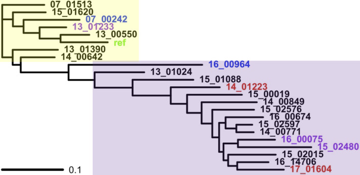 Fig 1