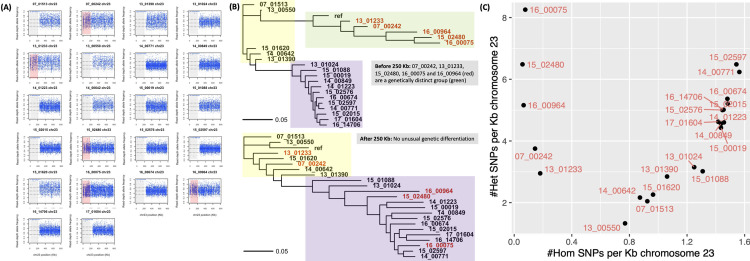 Fig 6