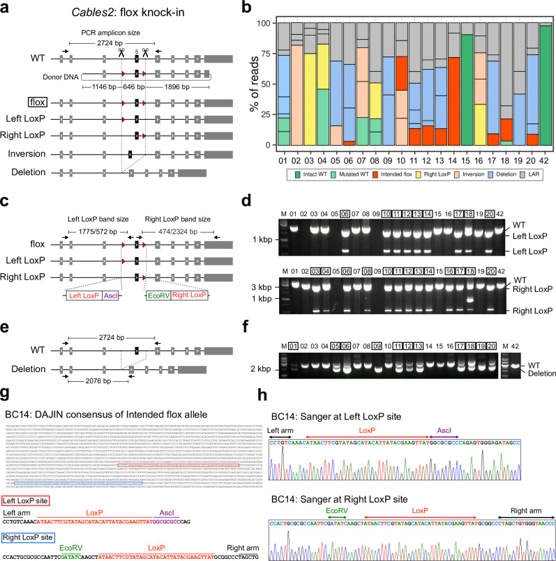 Fig 6