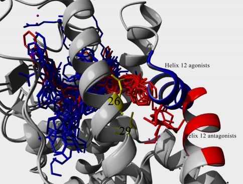 Fig. 7