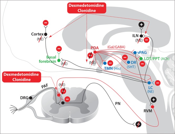 Figure 4.