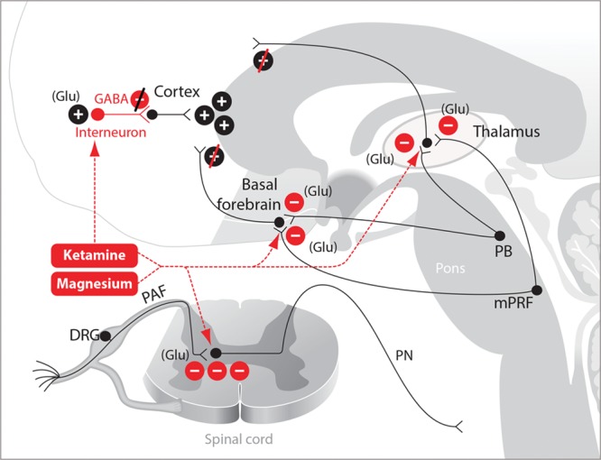 Figure 3.