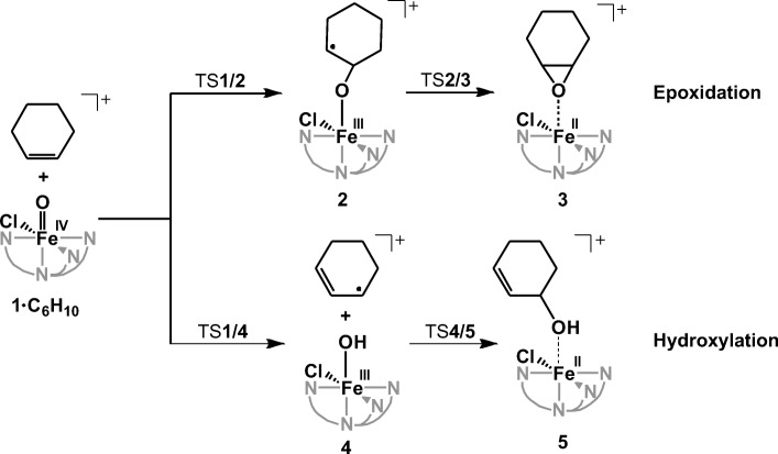 Scheme 1