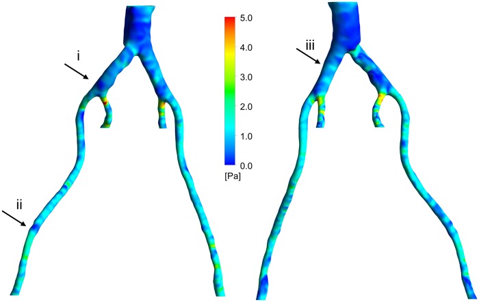 Figure 6.