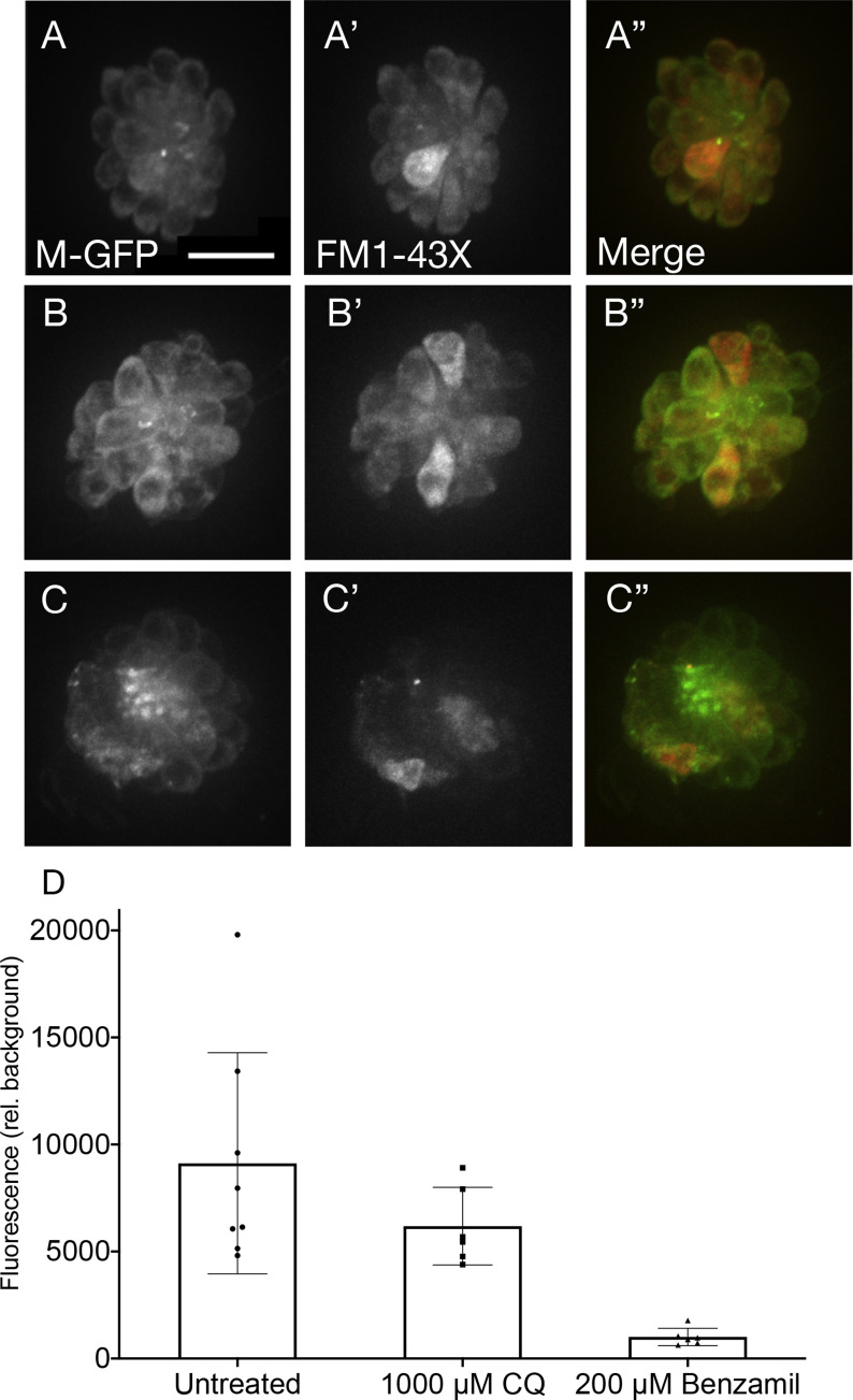 Fig. 3