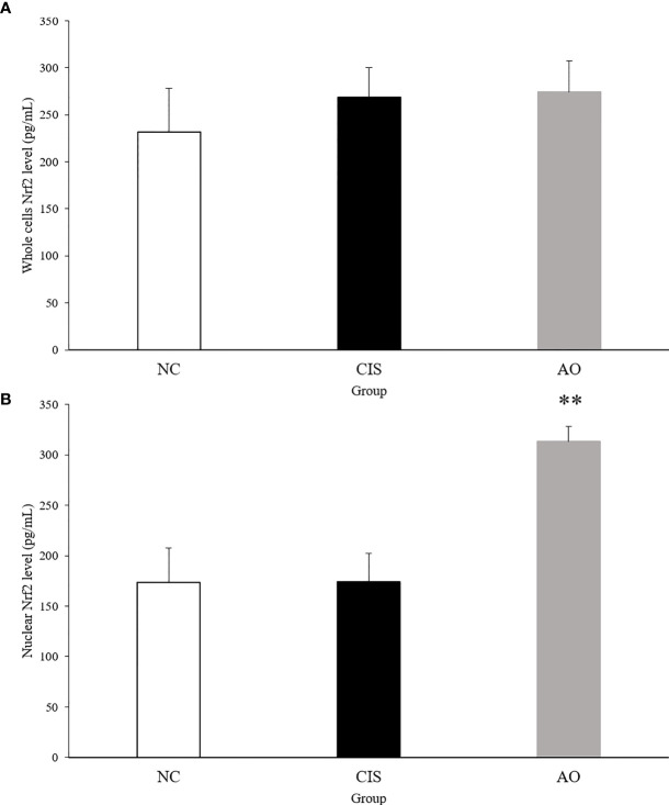 Figure 7