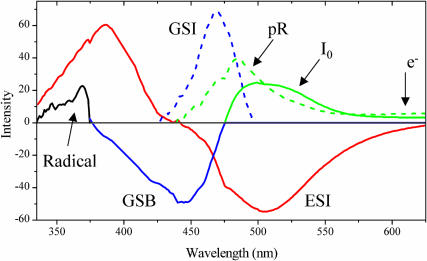 FIGURE 9