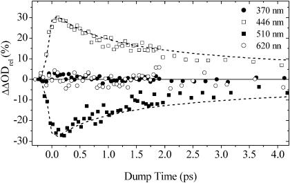 FIGURE 4