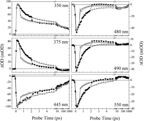 FIGURE 3