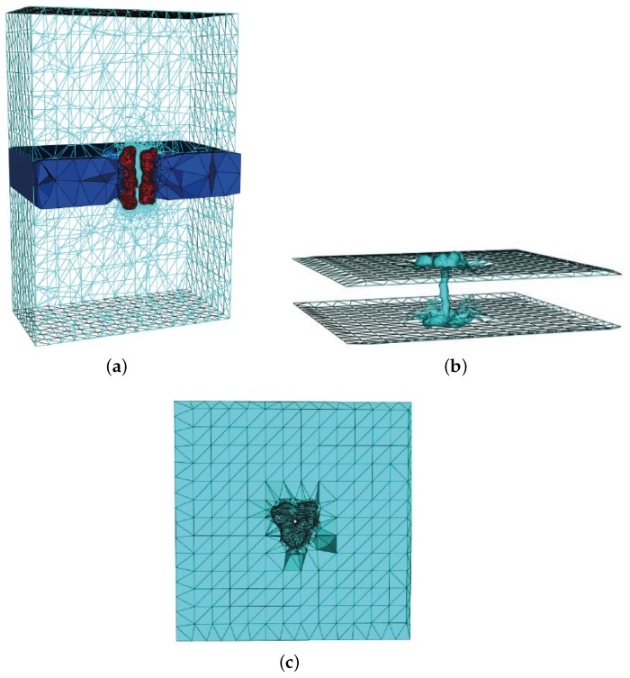 Figure 11