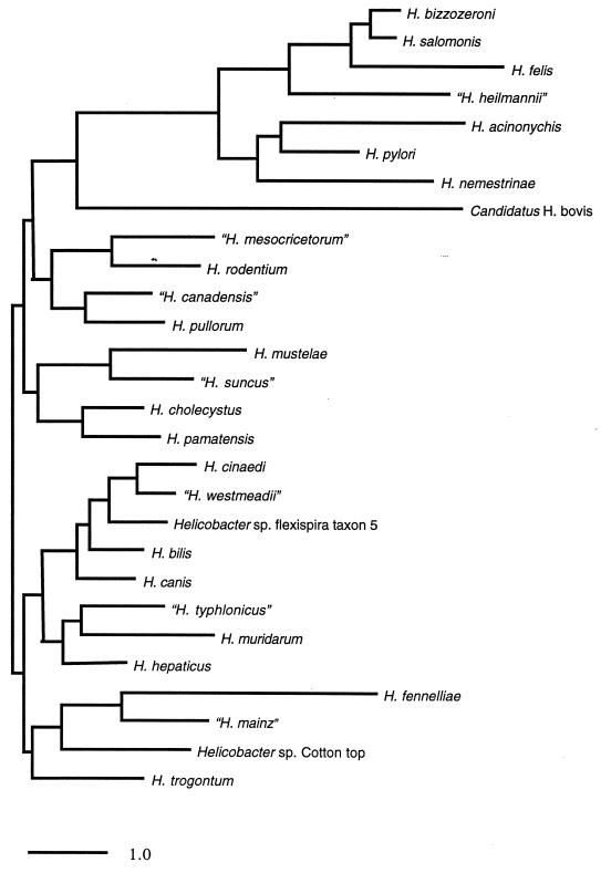 FIG. 6