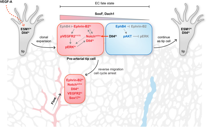 Fig. 10