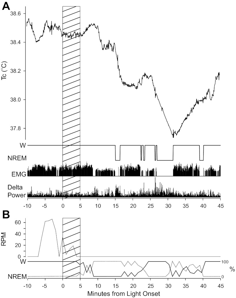 Fig. 8.