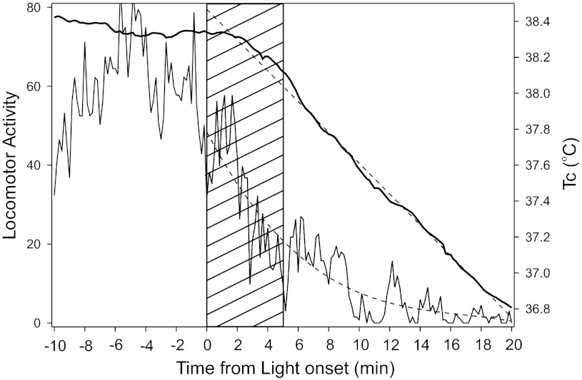 Fig. 5.