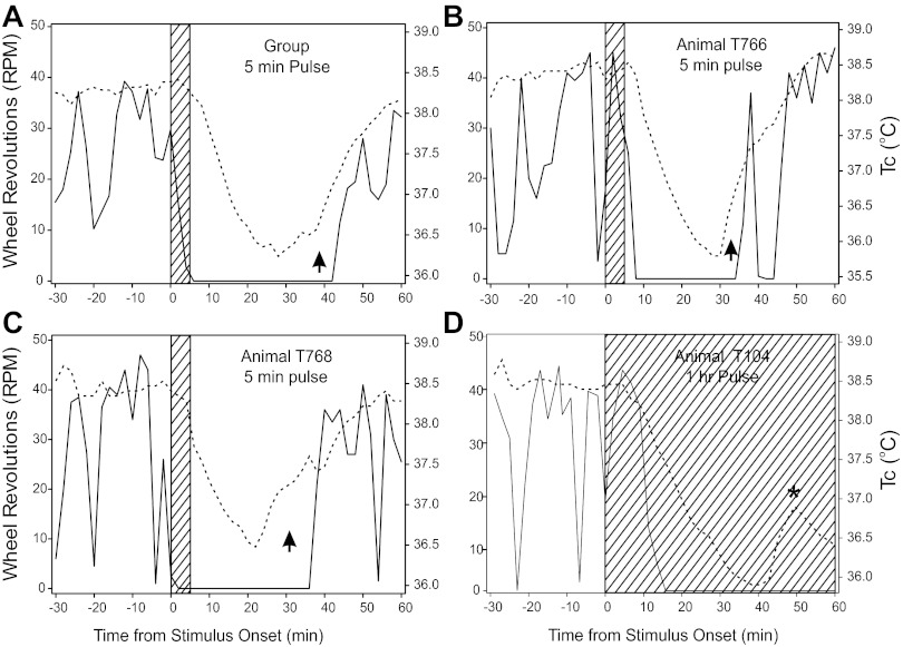 Fig. 4.