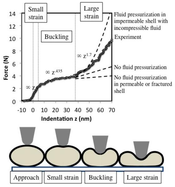 Fig.4