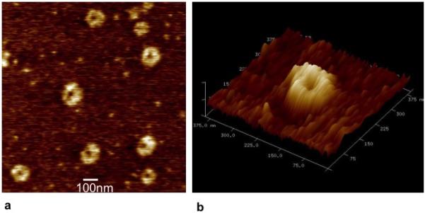 Fig.6