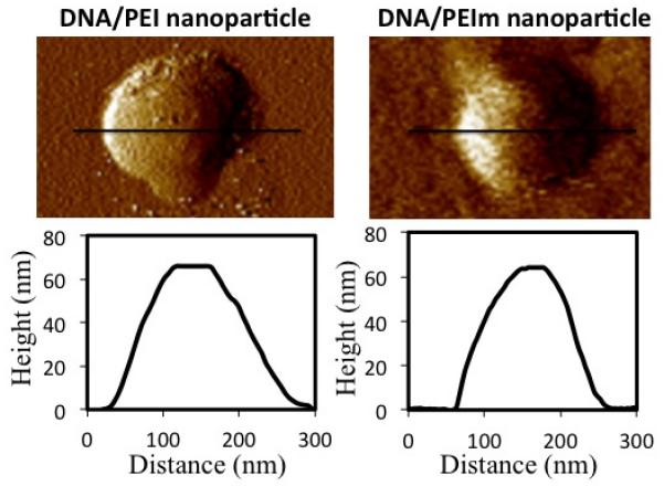 Fig.2