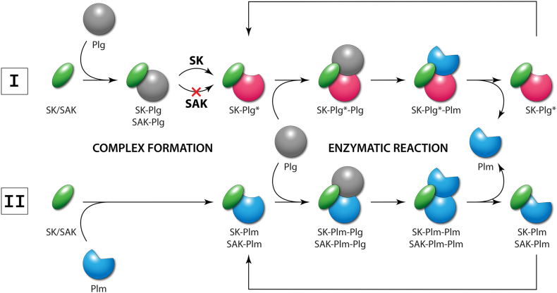 Fig. 13