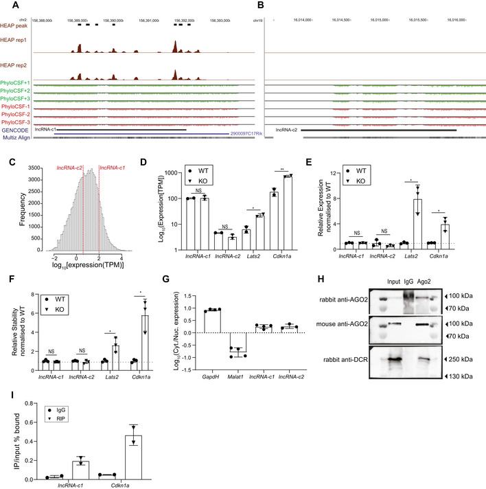 Figure EV3