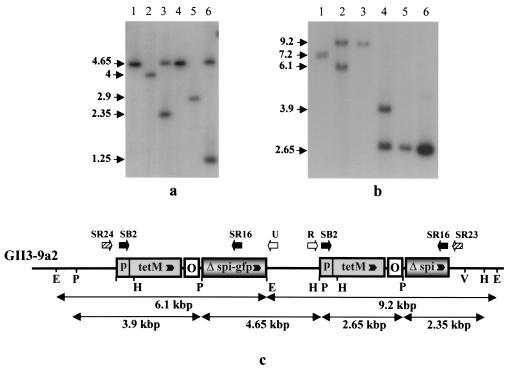 FIG. 4.