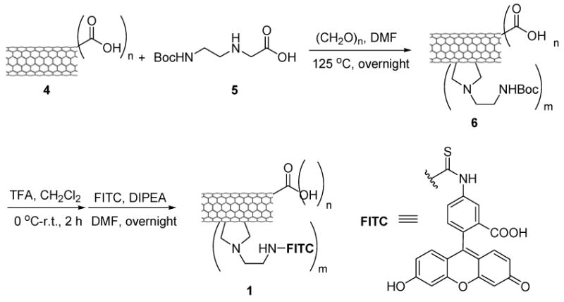 Scheme 2