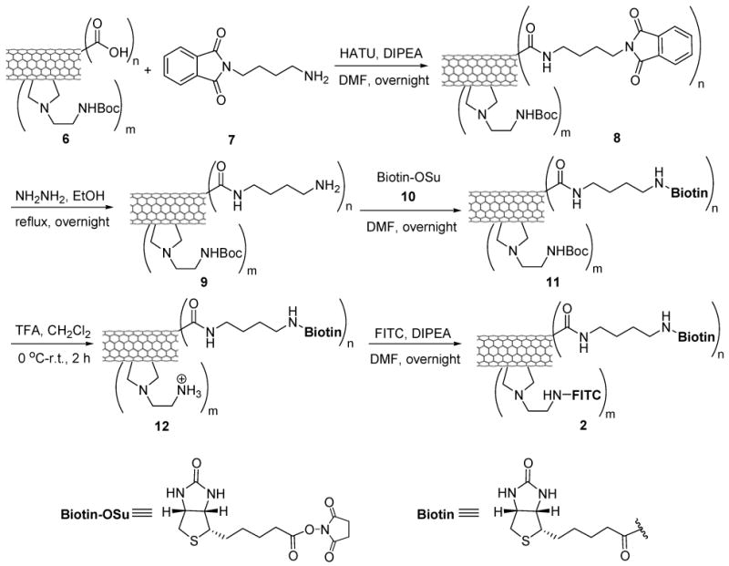 Scheme 3