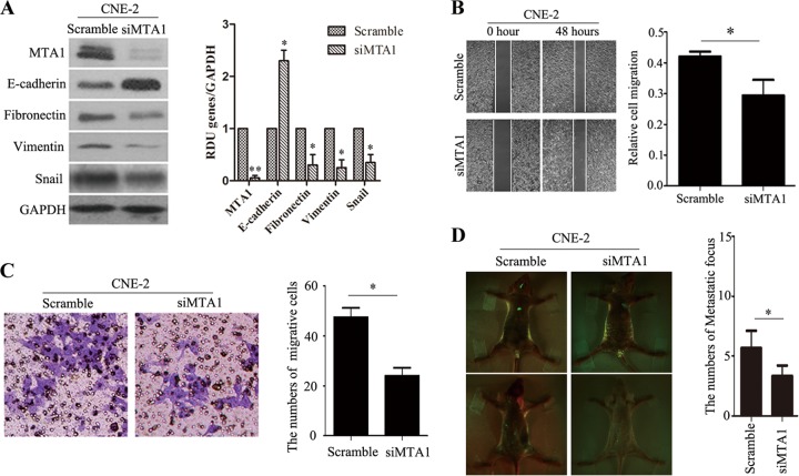 FIG 3