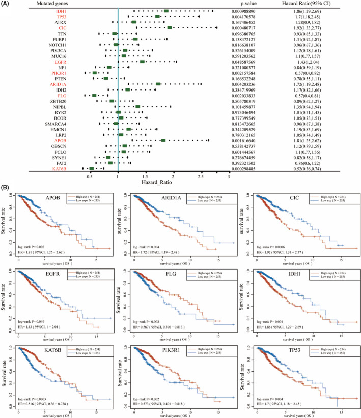 FIGURE 2