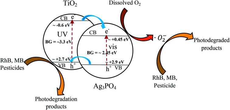 Fig. 12