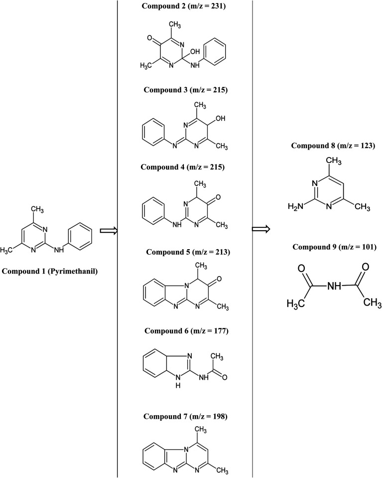 Fig. 10