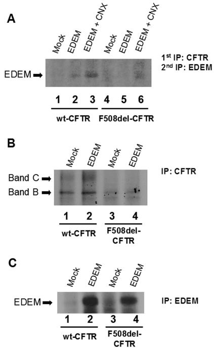 FIG. 8.