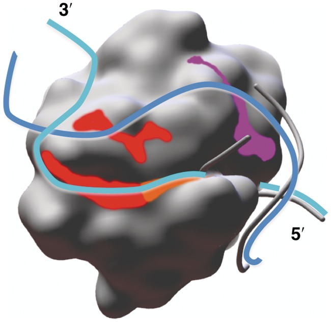 Figure 4.